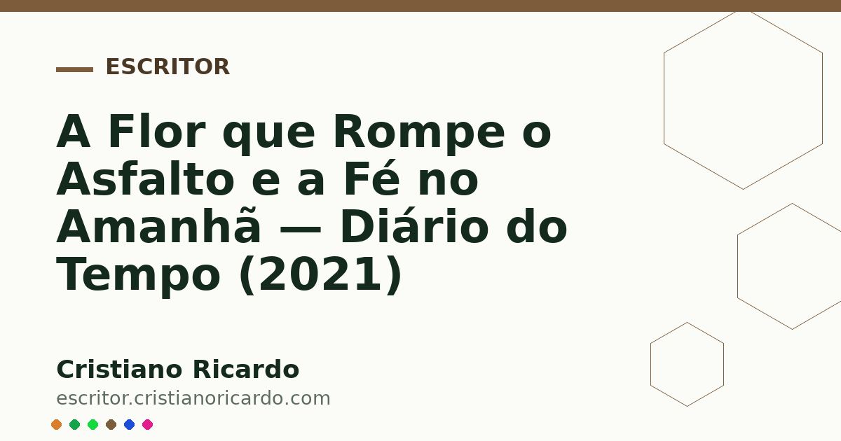 Card OG automático: A Flor que Rompe o Asfalto e a Fé no Amanhã — Diário do Tempo (2021)