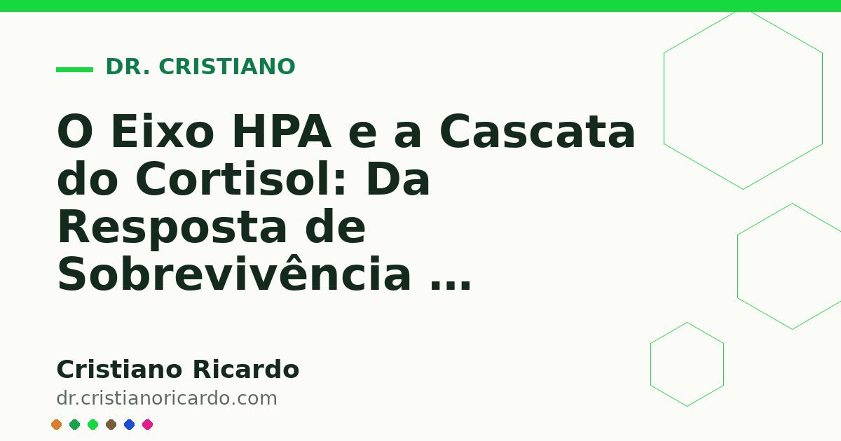 Card OG automático: O Eixo HPA e a Cascata do Cortisol: Da Resposta de Sobrevivência à Exaustão