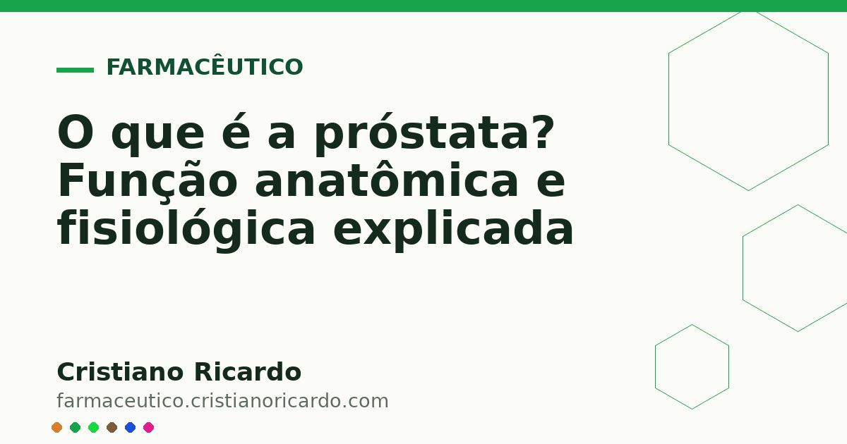 Card OG automático: O que é a próstata? Função anatômica e fisiológica explicada