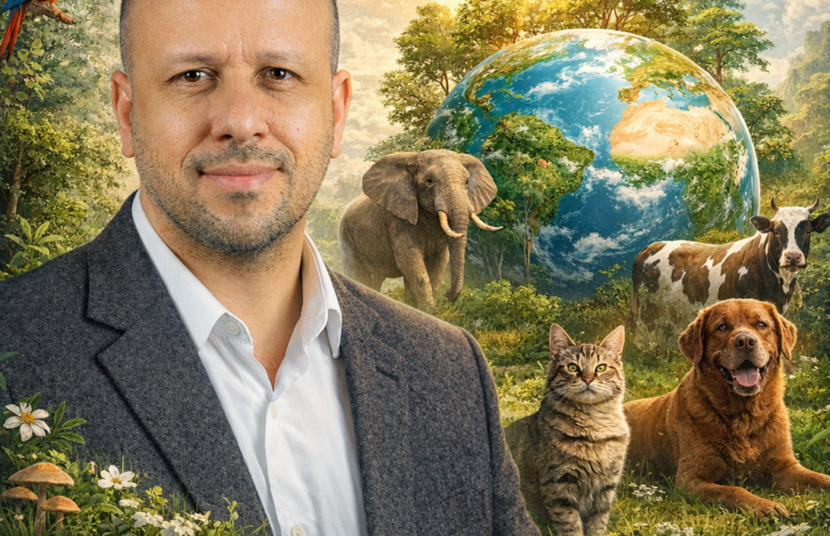 One Health: A Saúde Integrada que Une Humanos, Animais e o Planeta